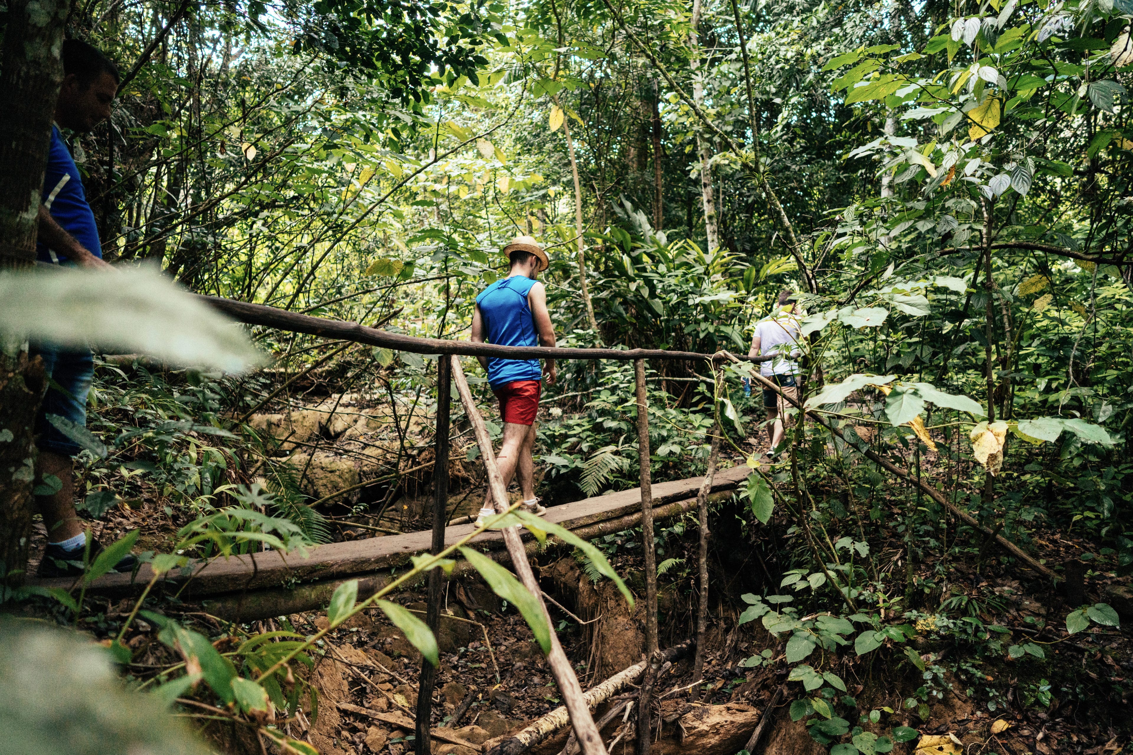 Cuba-Reisende wandern durch einen Nationalpark in Kuba