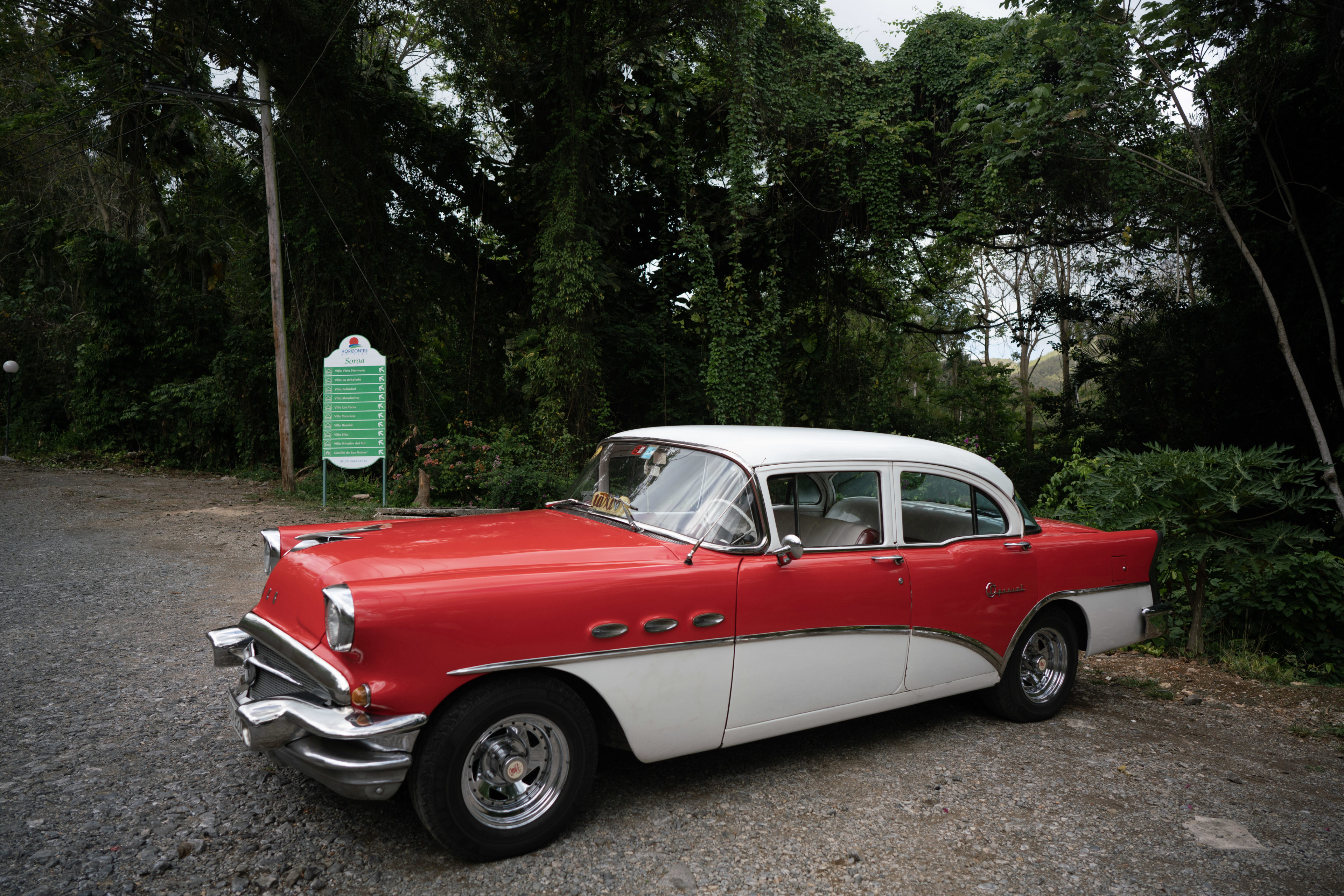 Oldtimer von Wald in Kuba