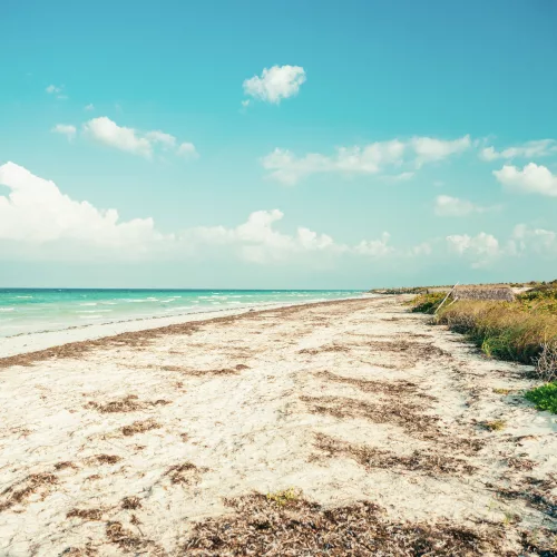 Strand von Cayo Levisa