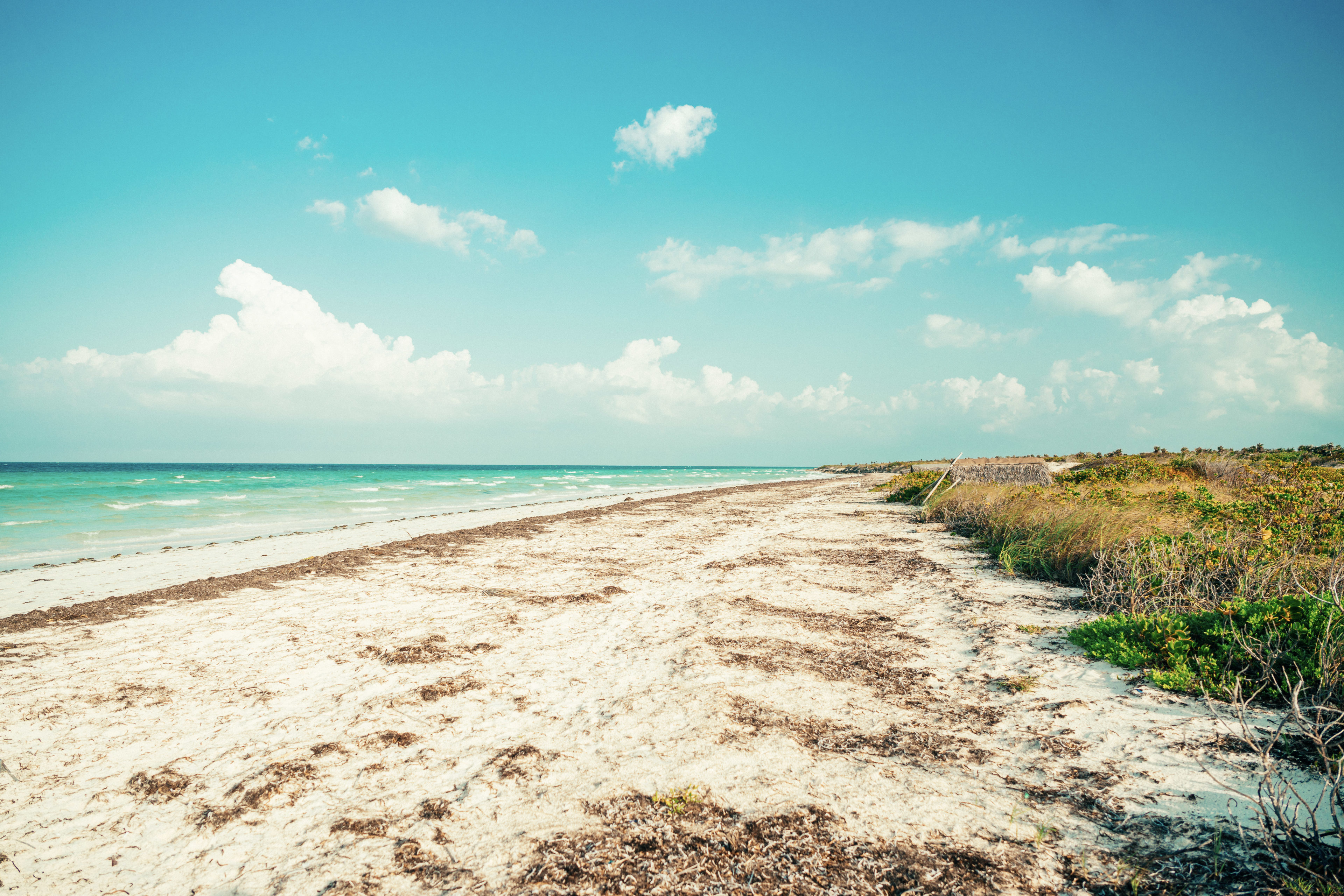 Strand von Cayo Levisa